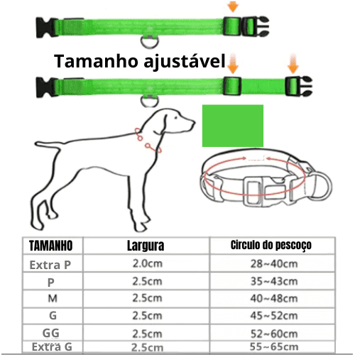 Coleira LED Recarregável - Segurança e Estilo para Seu Cão.