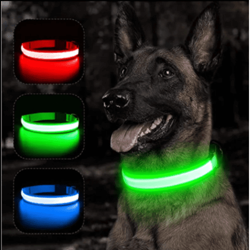 Coleira LED Recarregável - Segurança e Estilo para Seu Cão.